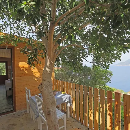 Muhtesem Deniz Manzarali Agac Ev 公寓式酒店 3*